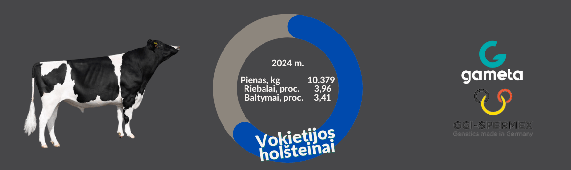 Vokietijos holšteinai 