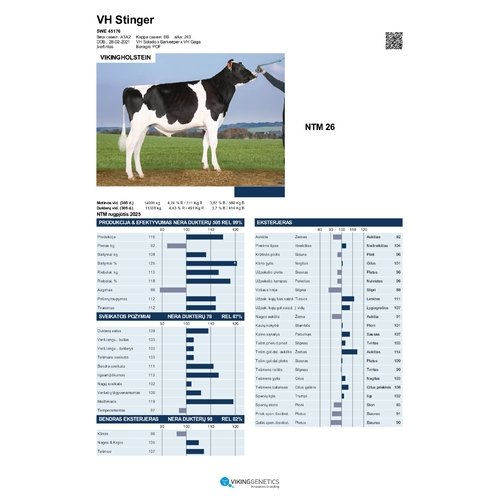 VH Stinger 1