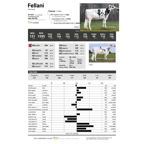 Fellani sex