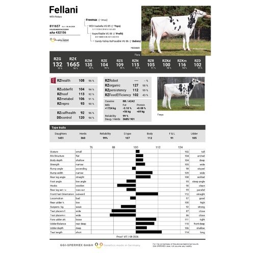 Fellani sex