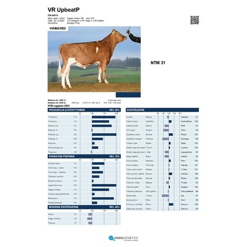 VR UpbeatP 1