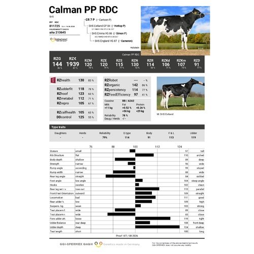 Calman PP