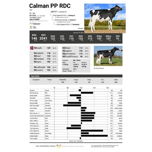 Calman PP 1