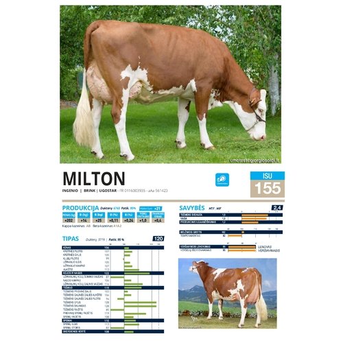 Milton 1
