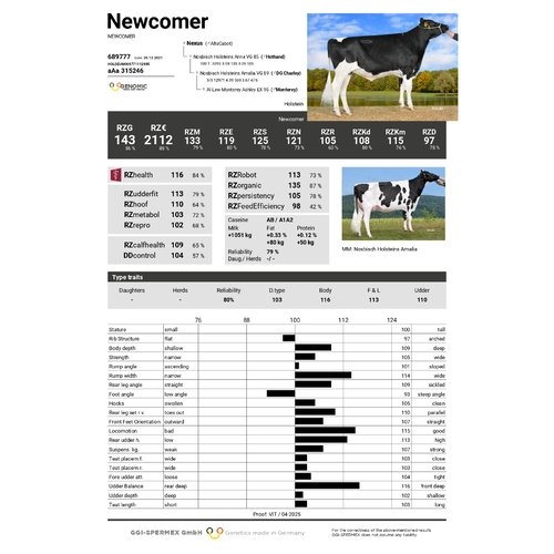 Newcomer