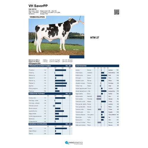 VH SavorPP