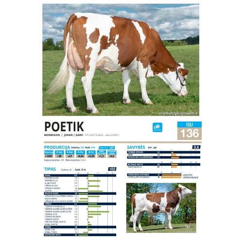 Poetik 1