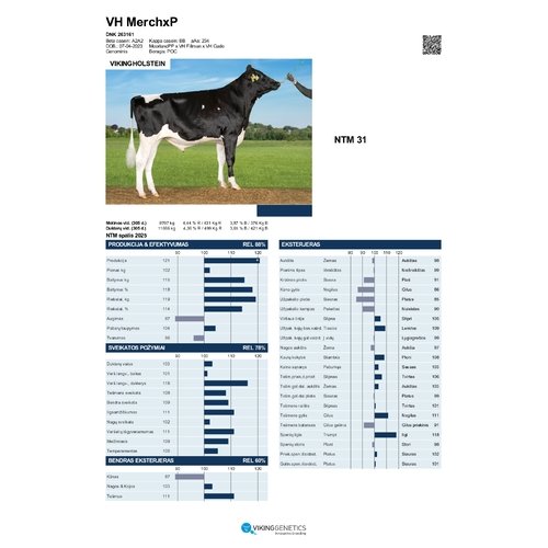 VH MerchxP 1