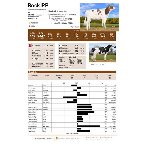 Rock PP