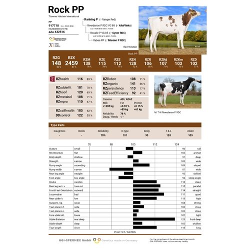 Rock PP 1