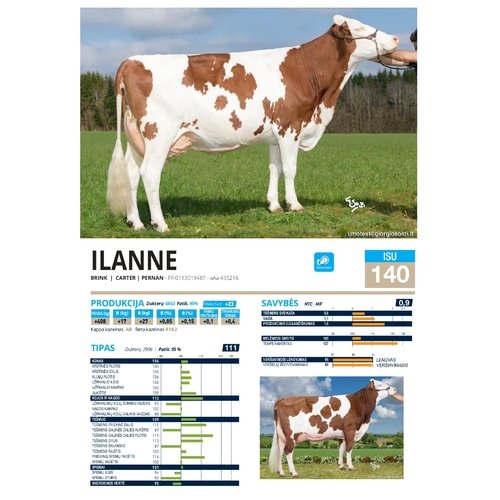 Ilanne  1