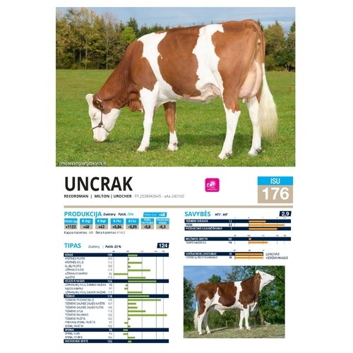 Uncrak sex 1