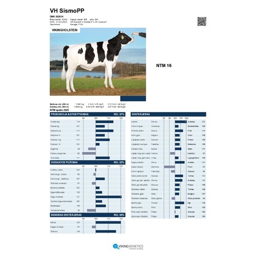 VH SismoPP 1