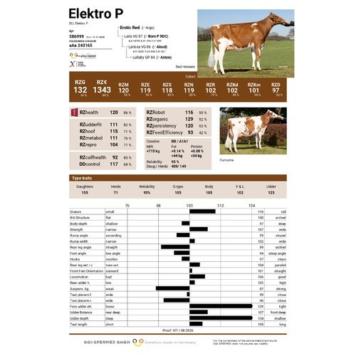 Elektro P