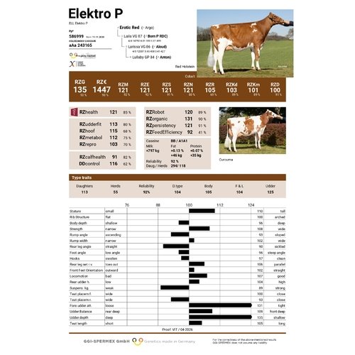 Elektro P 1
