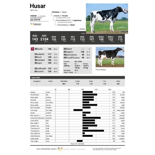 Husar