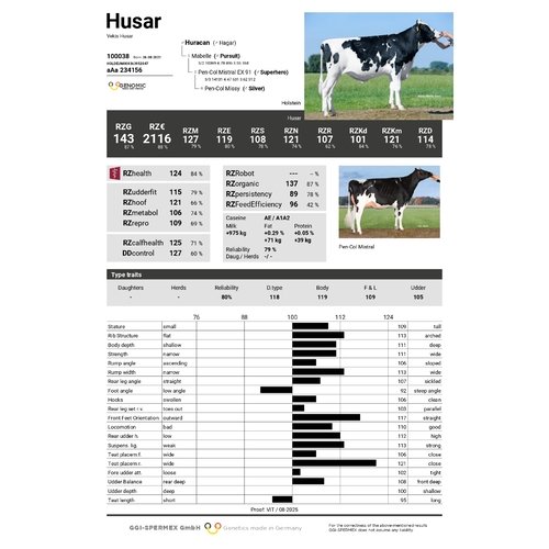Husar 1