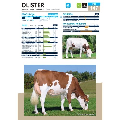 Olister
