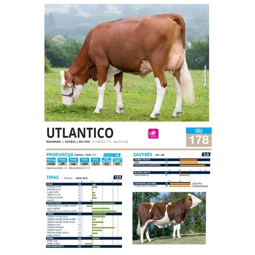 Utlantico sex 1