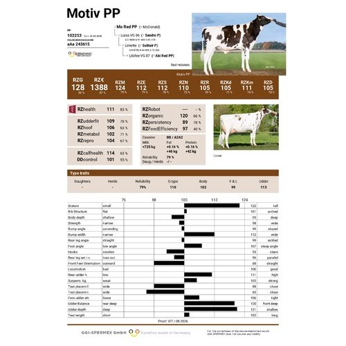 Motiv PP