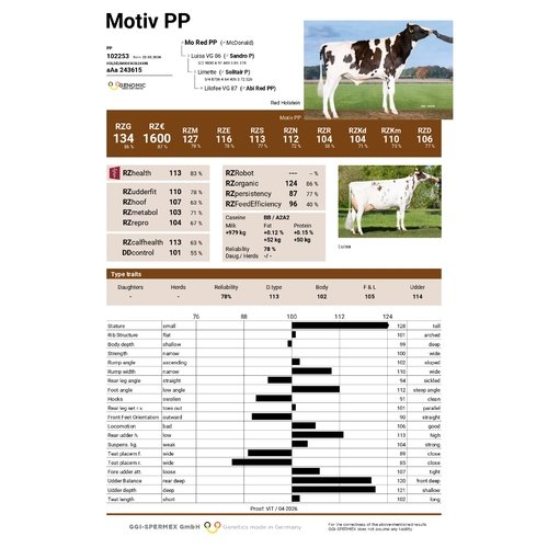 Motiv PP 1