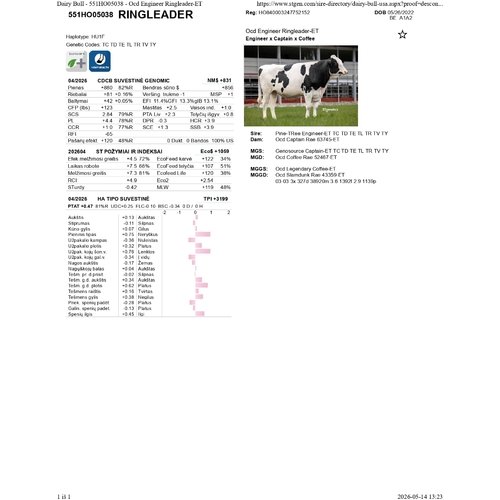 Ringleader 1