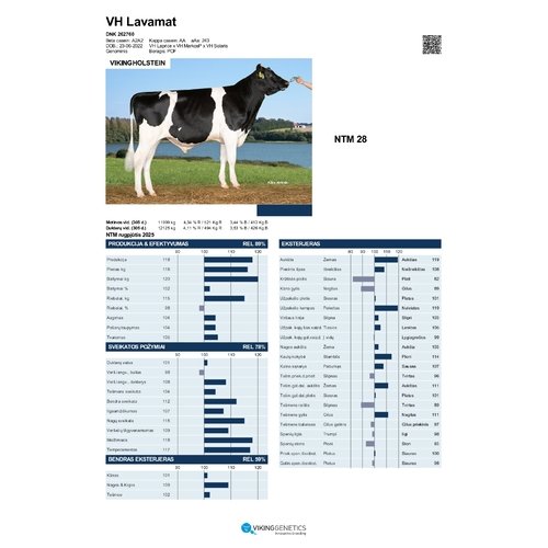 VH Lavamat 1