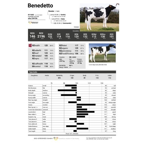 Benedetto