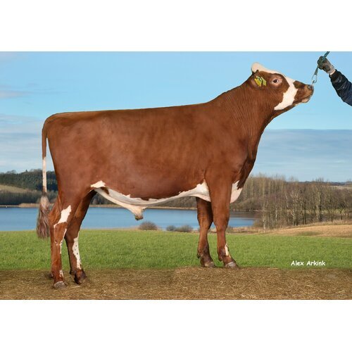VR Halcro