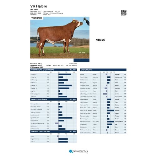 VR Halcro