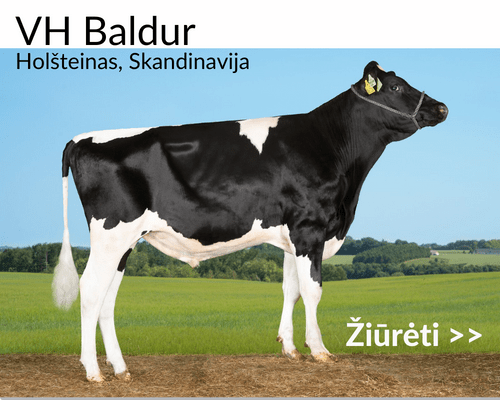 VH Baldur