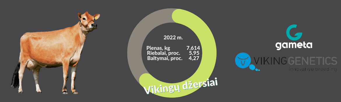 Vikingų džersiai (VikingGenetics)