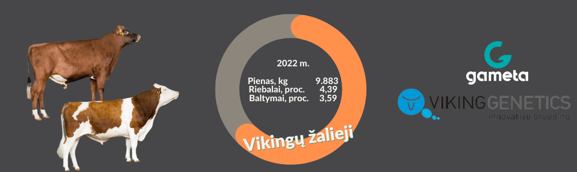 Vikingų žalieji (VikingGenetics)