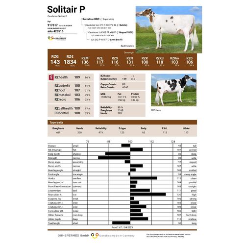 Solitair P 