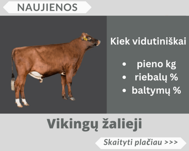 Vikingų žalieji
