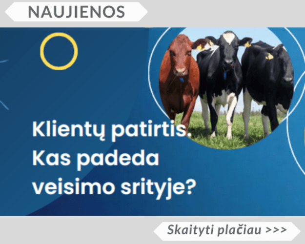 Klientų patirtis