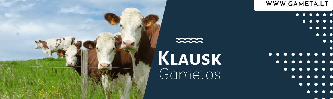 Naujas projektas "Klausk Gametos"