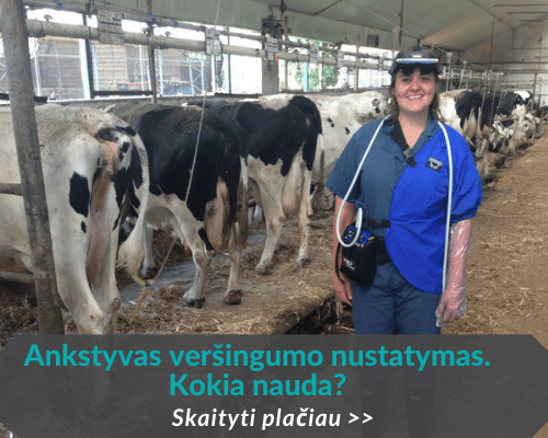 Ankstyvas veršingumo nustatymas